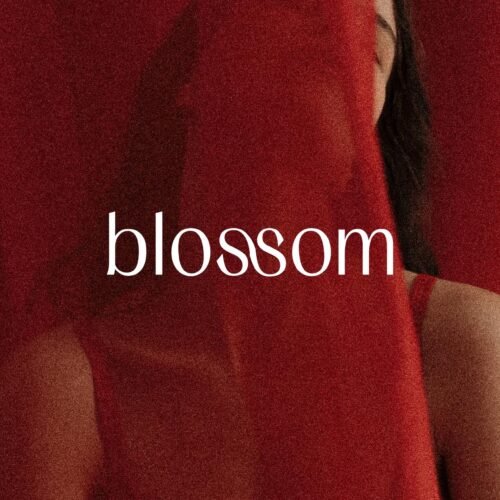 Identité de marque branding logo moderne lingerie mode prêt à porter